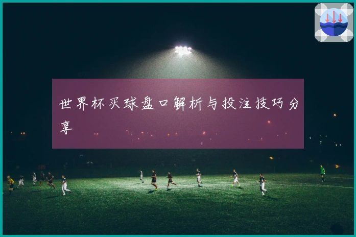 世界杯买球盘口解析与投注技巧分享