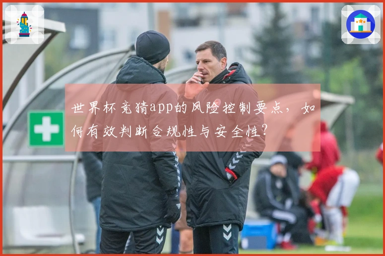世界杯竞猜app的风险控制要点，如何有效判断合规性与安全性？