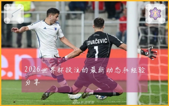 2026世界杯投注的最新动态和经验分享
