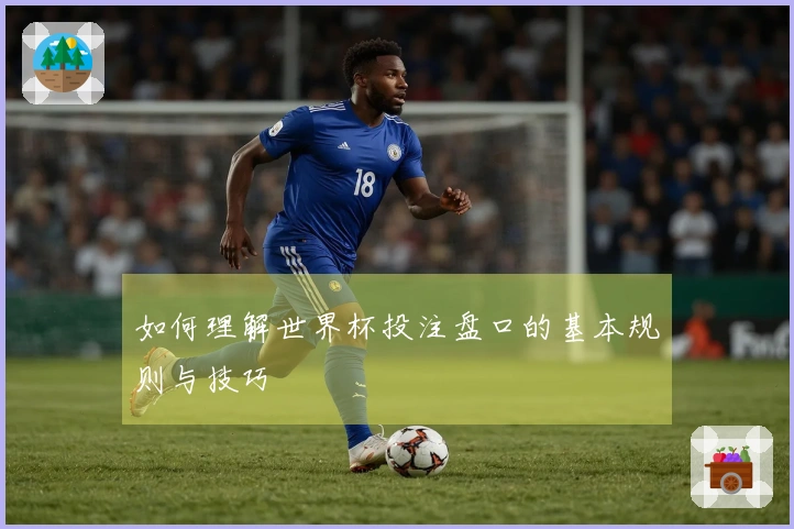 如何理解世界杯投注盘口的基本规则与技巧