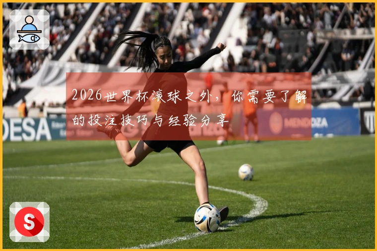 2026世界杯滚球之外，你需要了解的投注技巧与经验分享