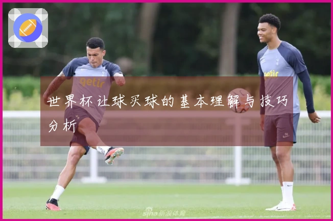 世界杯让球买球的基本理解与技巧分析