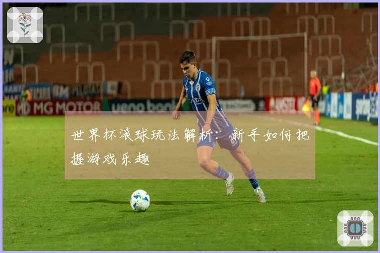 世界杯滚球玩法解析：新手如何把握游戏乐趣