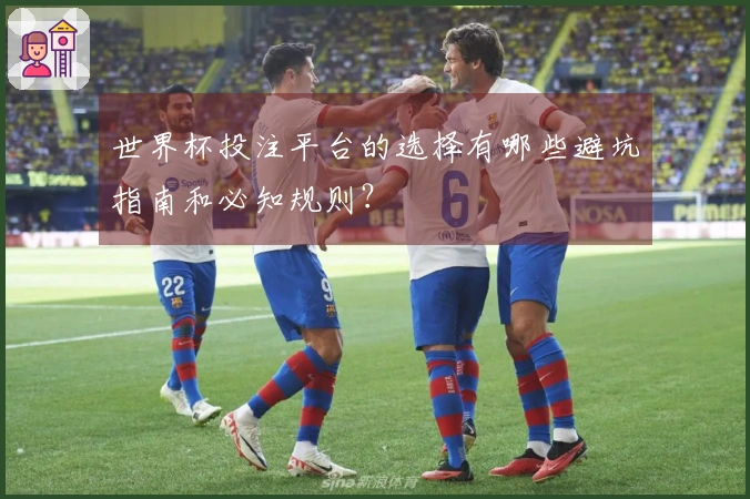 世界杯投注平台的选择有哪些避坑指南和必知规则？