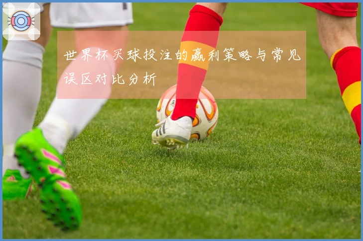 世界杯买球投注的赢利策略与常见误区对比分析