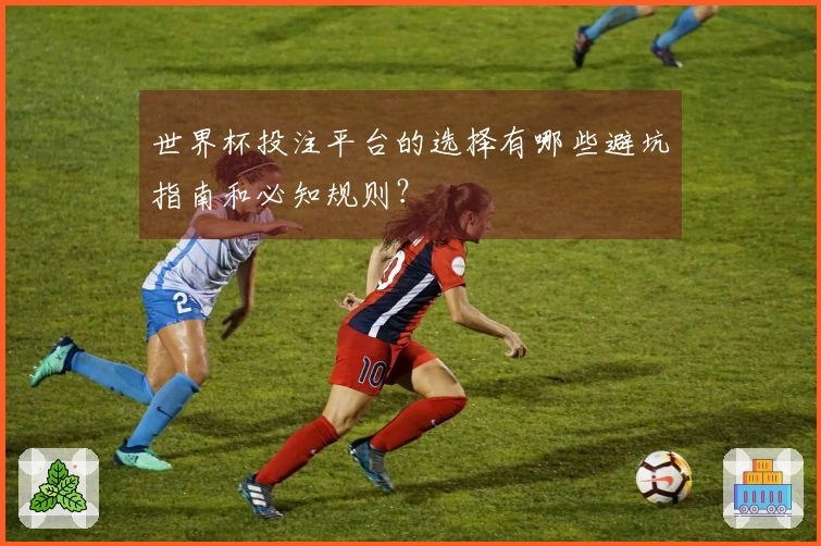 世界杯投注平台的选择有哪些避坑指南和必知规则？