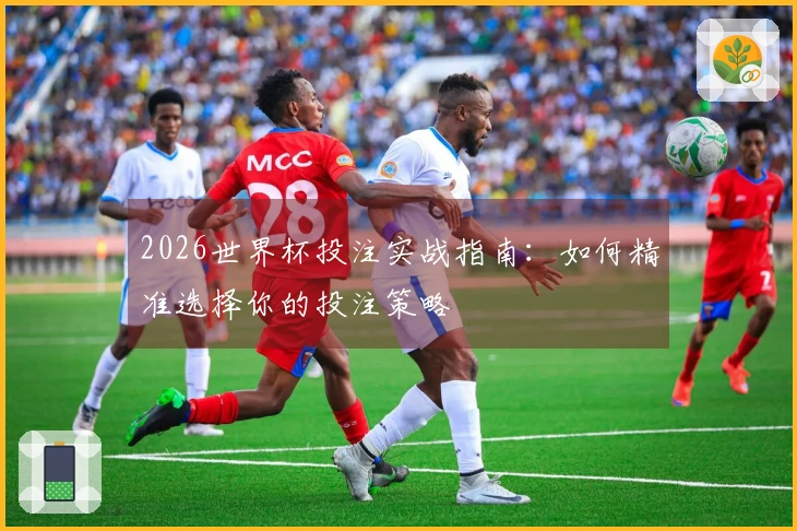 2026世界杯投注实战指南：如何精准选择你的投注策略
