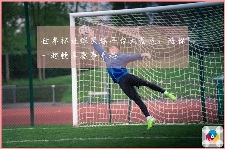世界杯让球买球平台大盘点，陪你一起畅享赛事乐趣