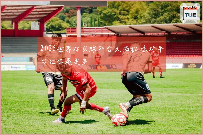 2026世界杯买球平台大揭秘 选对平台让你赢更多