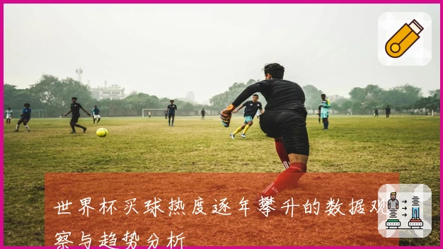 世界杯买球热度逐年攀升的数据观察与趋势分析