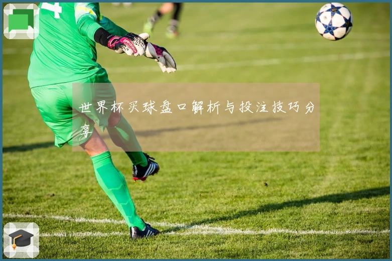 世界杯买球盘口解析与投注技巧分享